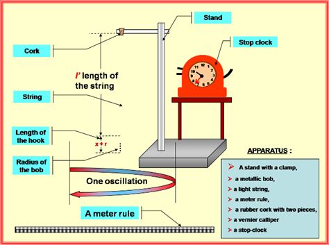 Physics Learn To Determine The Value Of G With The Help Of A Simple