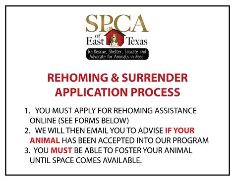 Can I Surrender My Dog To The Spca