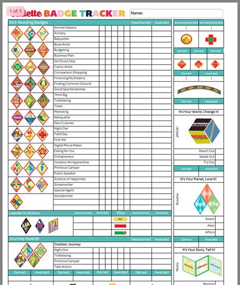 Girl Scout Cadette Badge Sheet