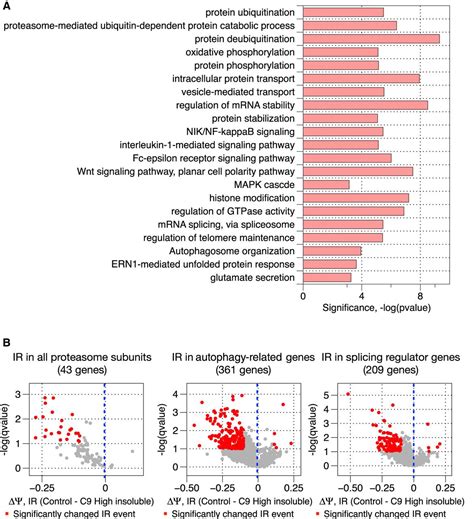 Widespread Intron Retention Impairs Protein Homeostasis In C Orf Als