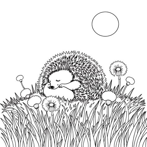 best hedgehog stressed step by step 5