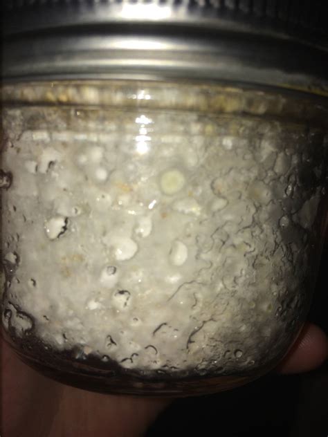 Contamination? Or first sign of pins? - Mushroom Cultivation