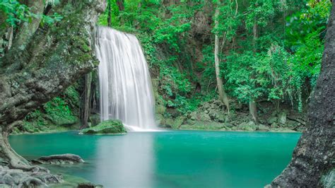 Beautiful Waterfall From Rock Pouring On Lake Between Green Trees Bushes Forest Background 4k Hd