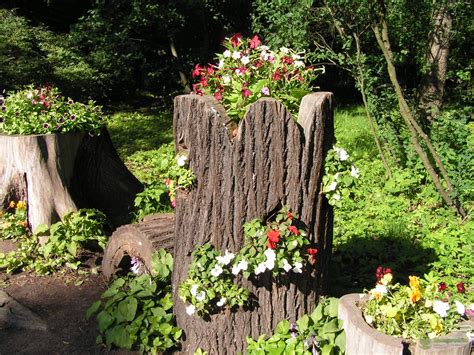 Как оформить спиленное дерево на даче (65 фото) » НА ДАЧЕ ФОТО