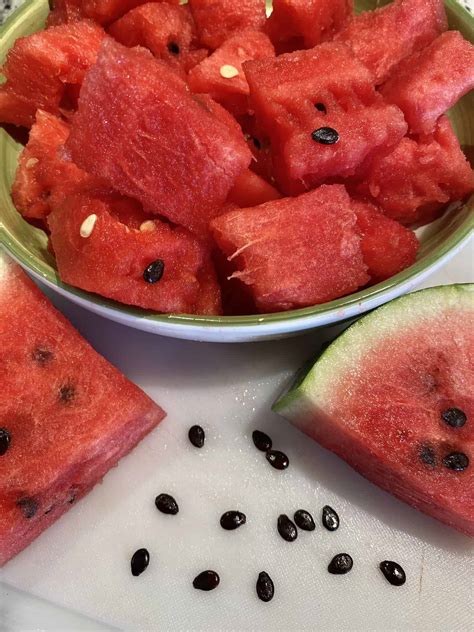 How To Grow Seedless Watermelon Seeds Plants Craze