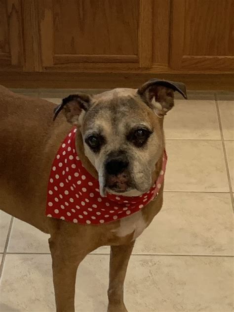 Pin By Cindi Cabrera On My Best Girl Lexi Babe Cool Girl I Am Awesome Babes