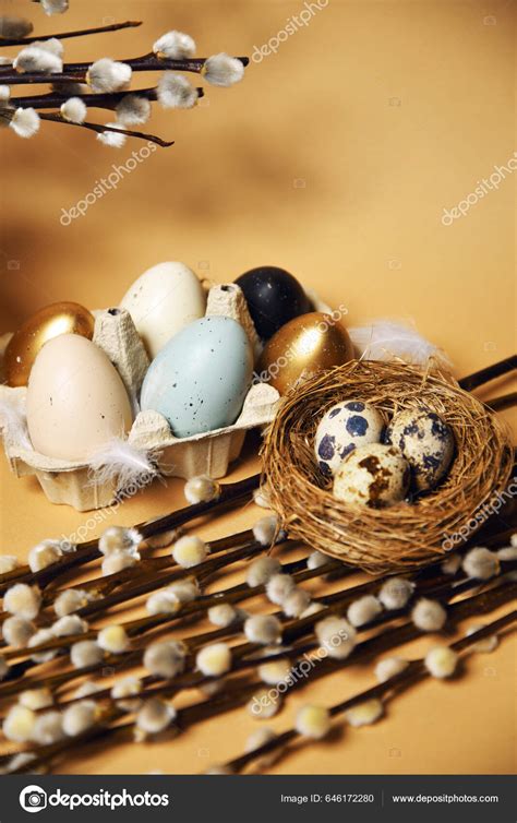 Easter Holidays Pussy Willow Colorful Painted Eggs Tray Nude Background Stock Photo