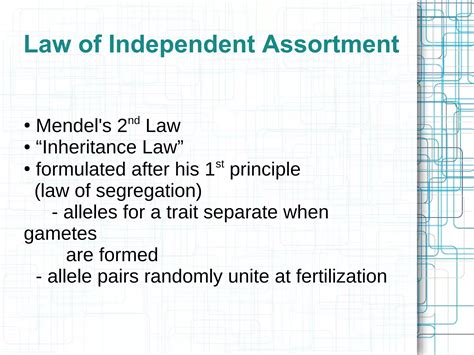Law Of Independent Assortment Definition Biology 7