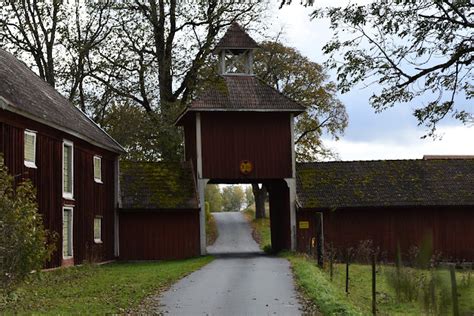 Lotta Och Livet Valpen Min Tycker Om Att Ha Skoj