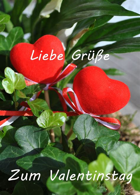 Viele Lieben Grüße 5