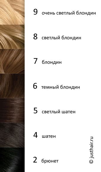 7 Оттенок Волос Фото — Фото