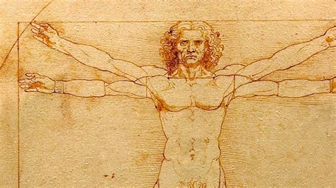 La anatomía según Leonardo da Vinci y por qué no supimos de ella