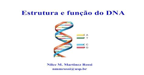 Pdf Estrutura E Função Do Dnaestrutura Do Dna Função Do Material