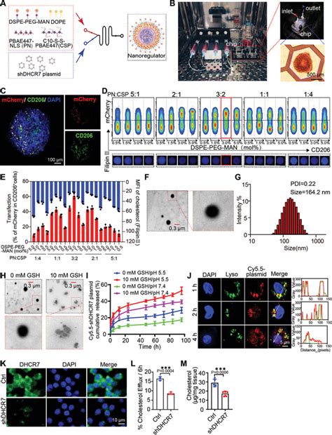 Constructing A “tumor Organoid‐on‐chip” Microfluidic Platform To Screen