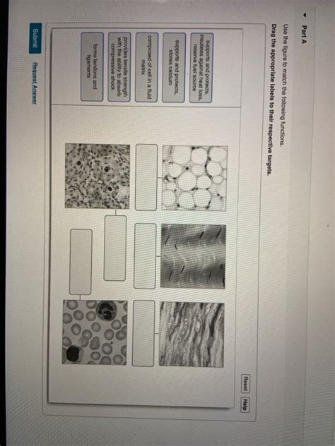 Solved Part A Use The Figure To Match The Following Chegg