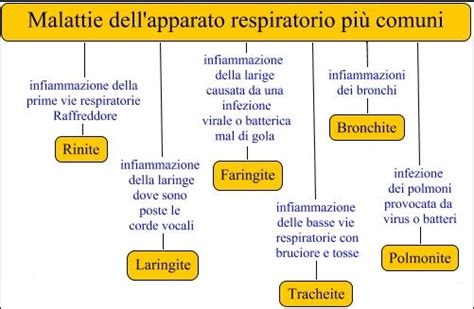 malattierespiratorie lidea magazine