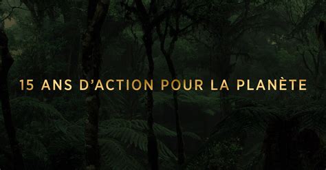 Fondation Prince Albert Ii De Monaco Linkedin