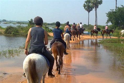 The Happy Ranch Horse Ridding Siem Reap Cambodia countryside on ...