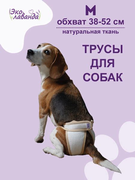 Трусы для собаки во время течки многоразовые, размер М - купить с ...