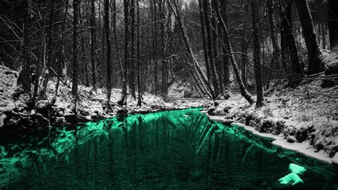 Sunlight Trees Forest Monochrome Water Nature Reflection Snow