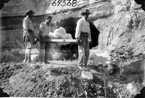 Men carrying Megatherium fossils | Three men, one is Elmer R… | Flickr