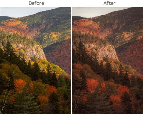 Fall Foliage Lightroom Mobile Desktop Presets Fall Presets Fall