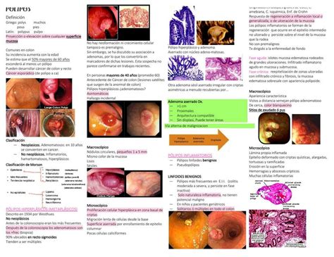 Pólipos De Colon MEDIKA NOTES uDocz