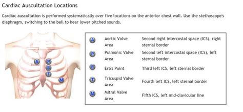 Cardiac Auscultation Locations Cardiac Auscultation Guide