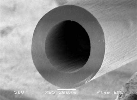 Blunt tip catheter (scanning electron microscopy). | Download ...