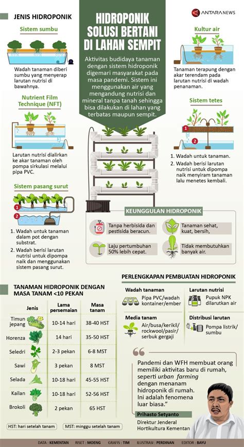 Hidroponik Solusi Bertani Di Lahan Sempit Infografik Antara News