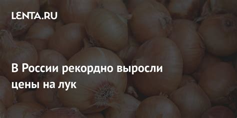 В России рекордно выросли цены на лук: Бизнес: Экономика: Lenta.ru