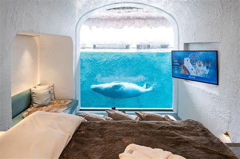 Pairi Daiza Resort - Underwater Rooms In Europe's Best Zoo