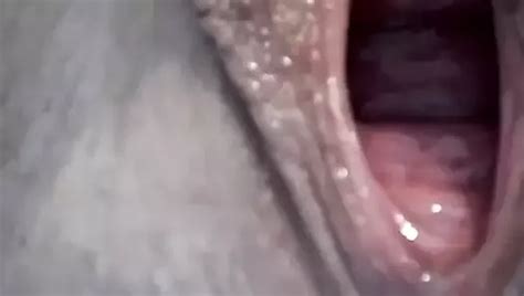 Free Mature Pussy Porn Videos 122 XHamster