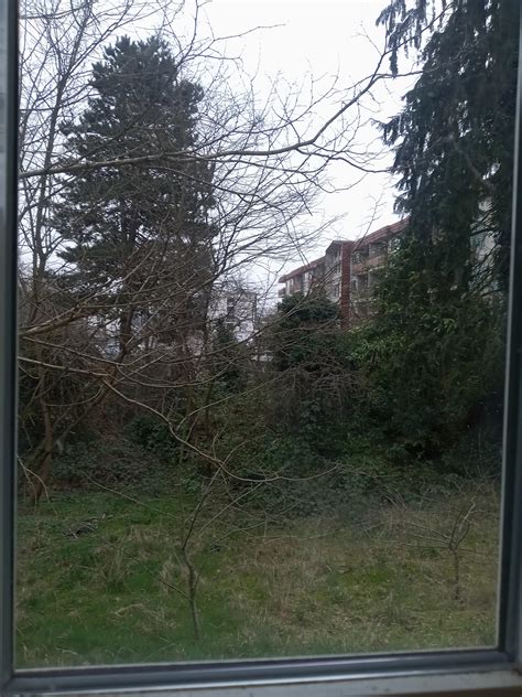 My backyard, Boulevard Park South, near SeaTac airport. [South Seattle