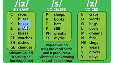 The Pronunciation Of Final S In English Language