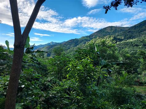 New outdoor seating will expand iron bridge wine company md soon 10