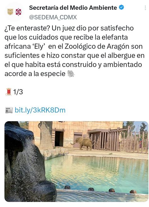 Luc A Hern Ndez Amo La Ciencia On Twitter El Mismo Juez Que Le