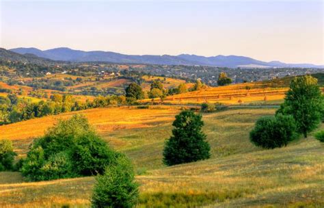 Free Images Landscape Tree Mountain Field Prairie Countryside