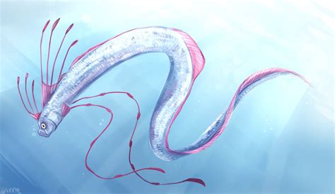 Рыба сельдяной король - 70 фото