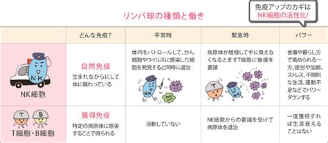 免疫力を高めたい方におすすめ！「nk細胞」を活性化させる食べ物と運動｜楽しむ・学ぶ｜養命酒製造株式会社