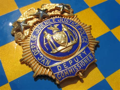Deputy Commissioner New York City Department Of Juvenile Justice