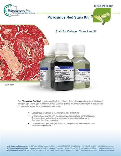 Picrosirius Red Stain Kit Polysciences Inc