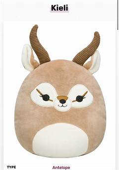 Squishmallow Names Youve Been Pronouncing These Names Wrong