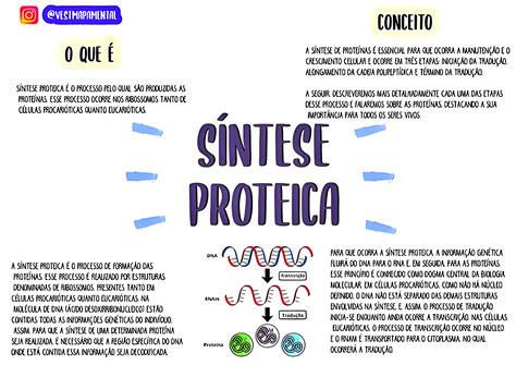 O Que é Síntese De Proteína - 8