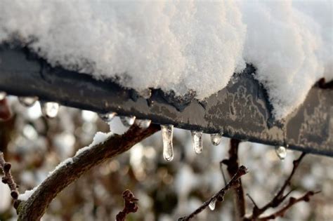 Kostenlose Foto Landschaft Gras Ast Schnee Kalt Winter Himmel