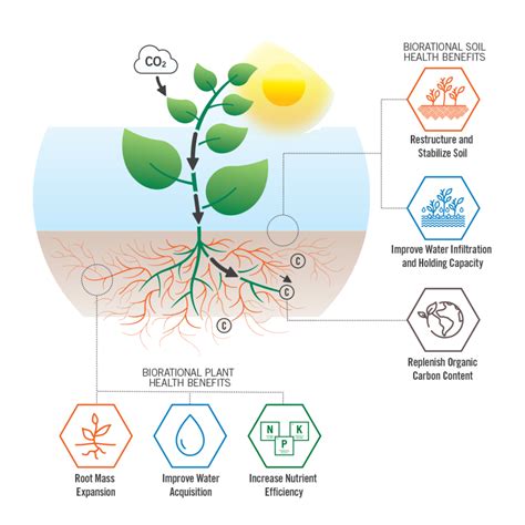 MycoApply | Valent BioSciences