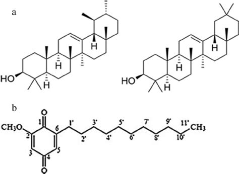 chemical structure    amyrin left   amyrin