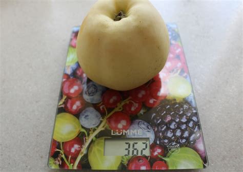 Еще одна лекция готова: "Профессиональные подкормки декоративных ...