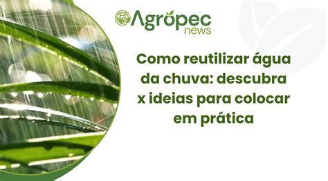 Como reutilizar água da chuva: descubra x ideias para colocar em prática