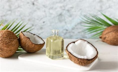 Orgasmo Anal Especialista D Dicas Sobre Essa Pr Tica